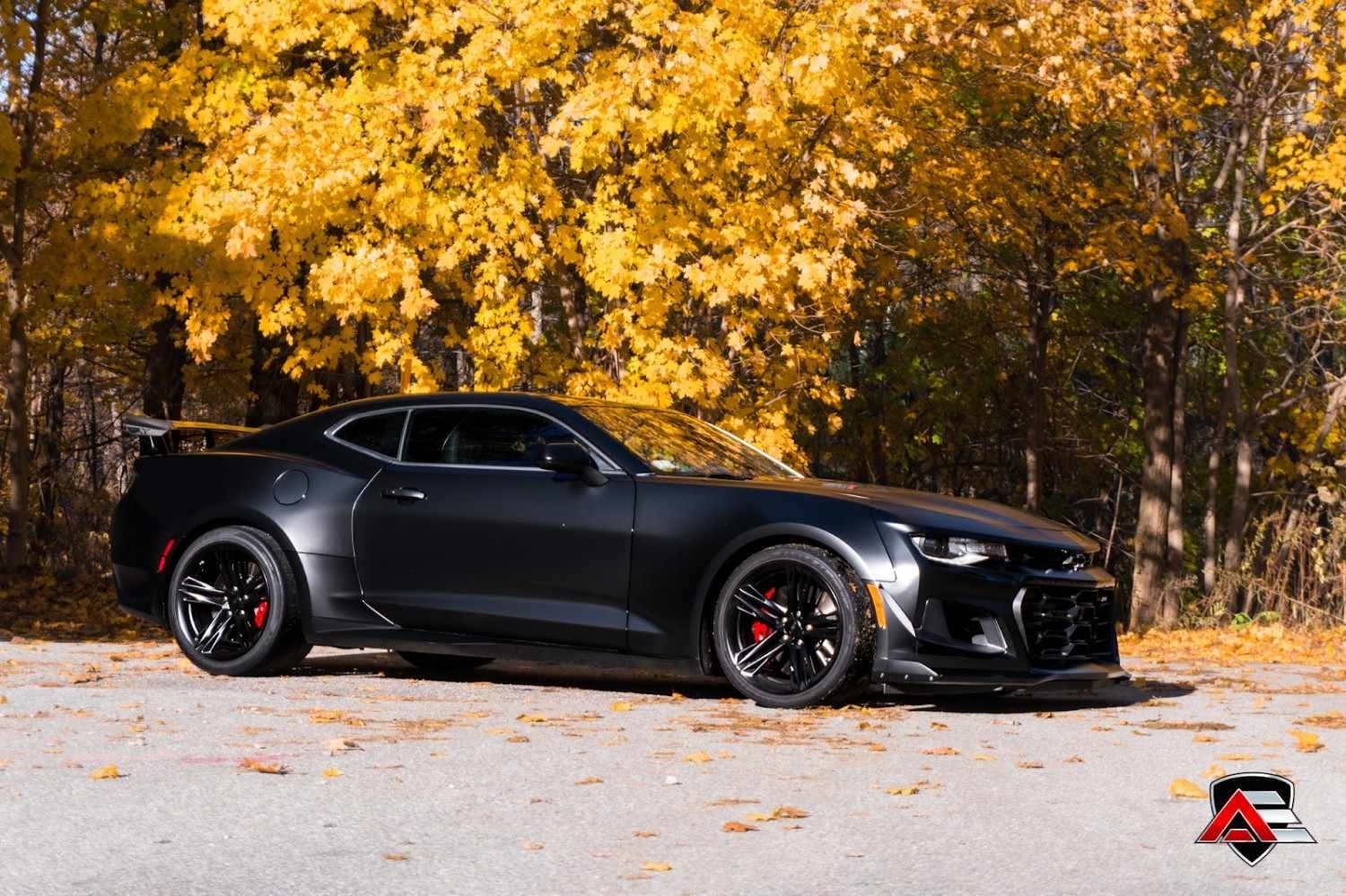 A matte black Chevy Camaro parked on asphalt with fallen leaves, in front of vibrant yellow autumn trees.