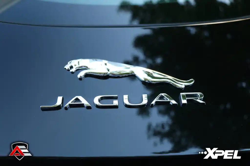 Jaguar emblem and badge on the rear of a black Jaguar F-TYPE R