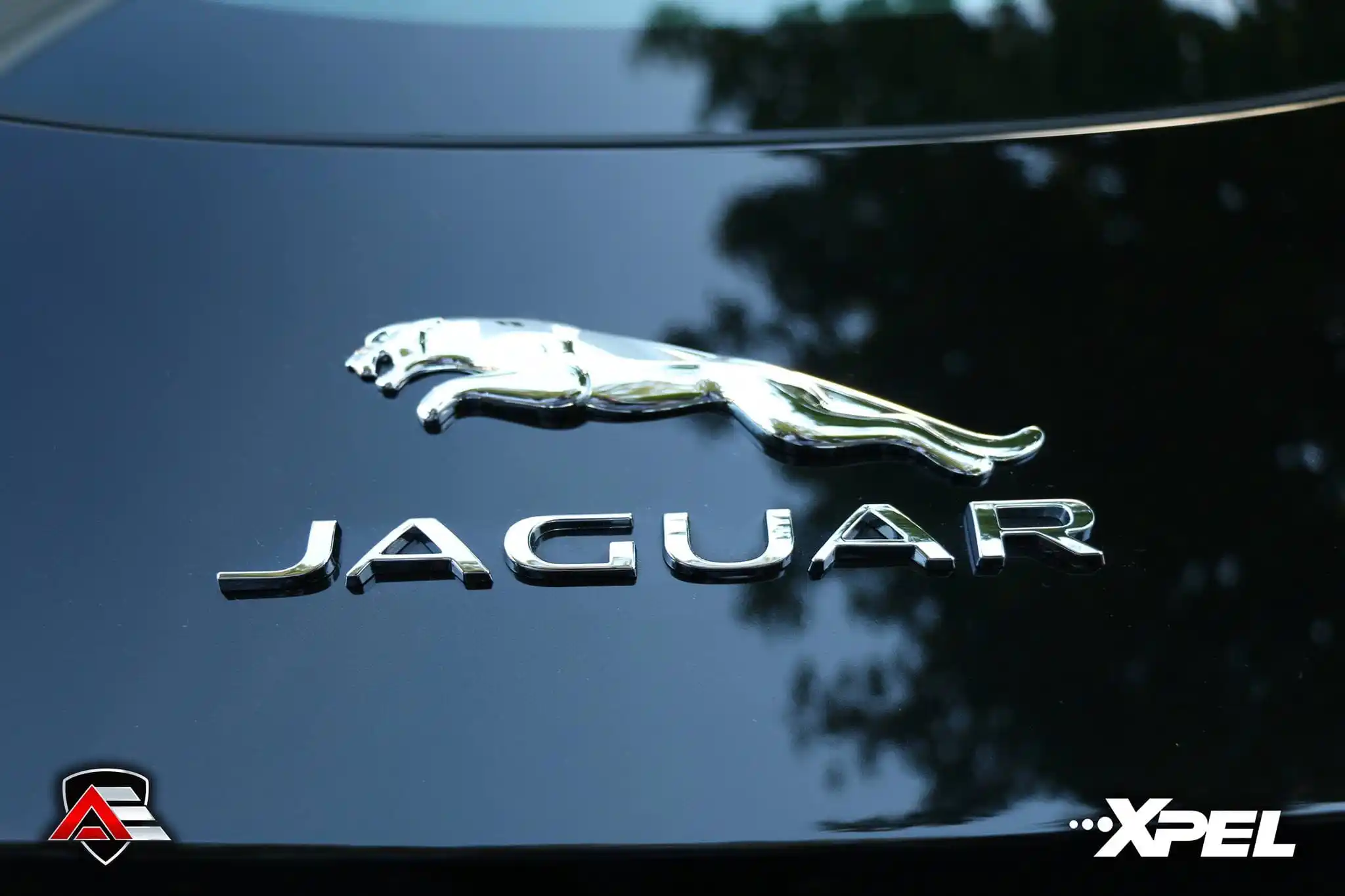 Automotive Elegance in Andover MA