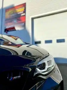 XPEL paint protection film project